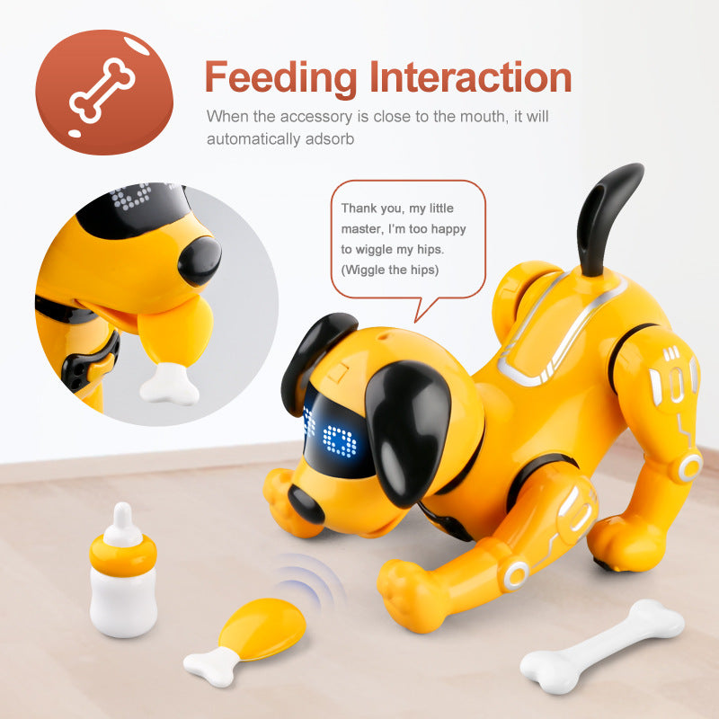 Robot Dog