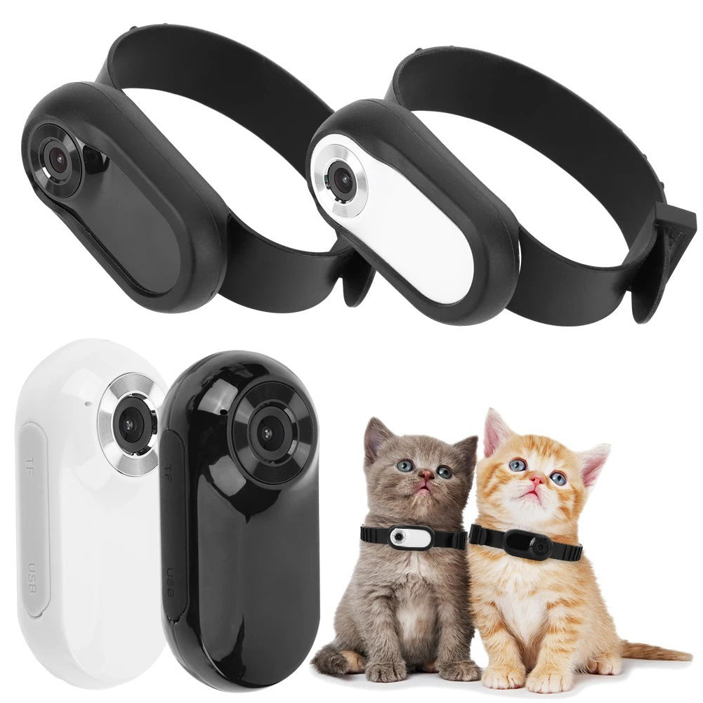 Pet Collar Camera (Recorder)