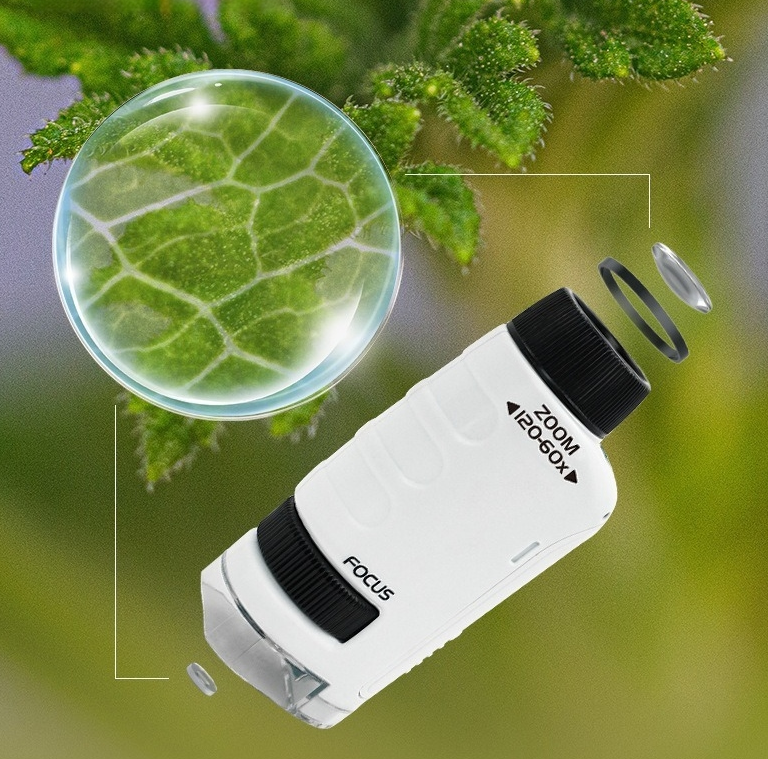 Children's Handheld Microscope - Professional Level